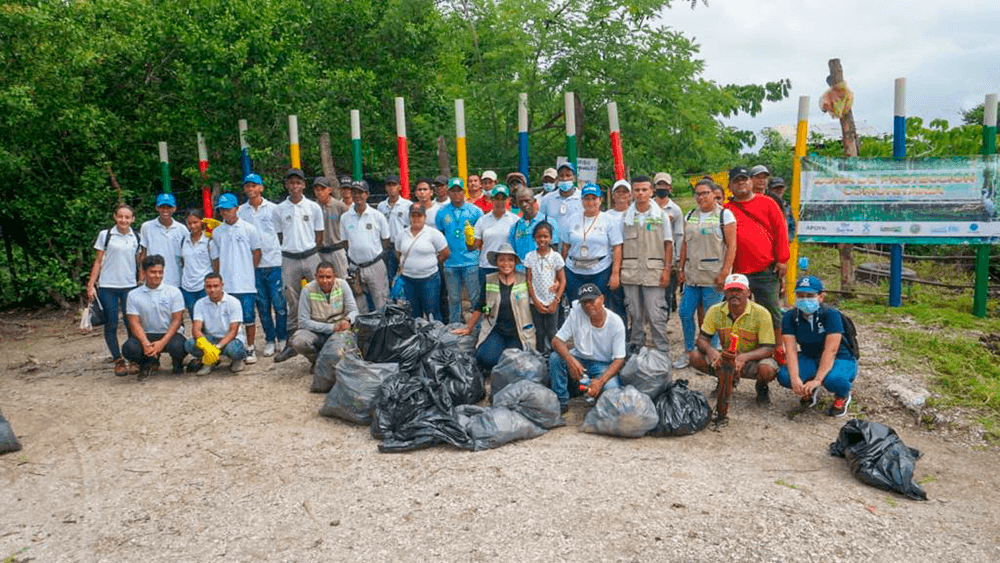 Acciones para reducir la contaminación del manglar de la Ciénaga de Cartagena