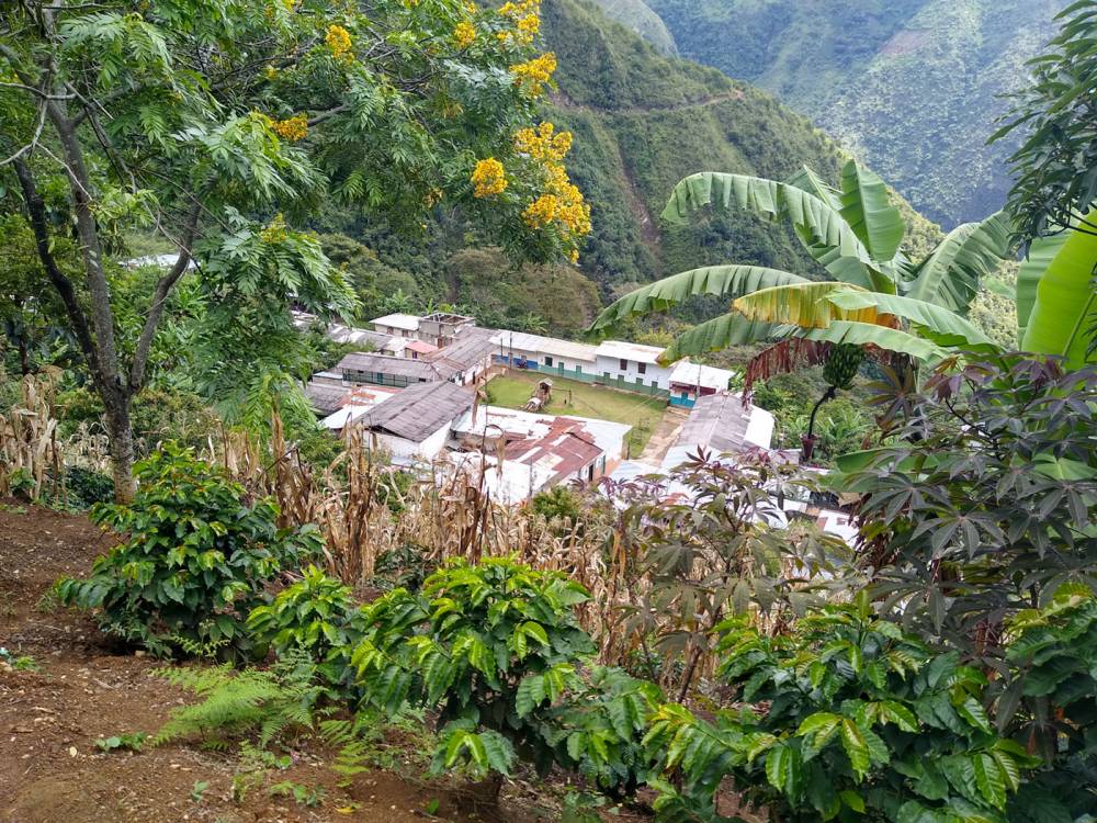 El Llano de Urarco: sueños hechos realidad