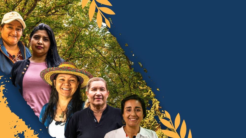 Semillas que florecen