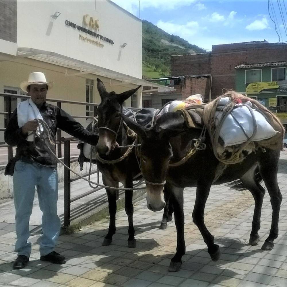 Una aldea de un pueblo que no es cualquiera, es una aldea de Barbosa