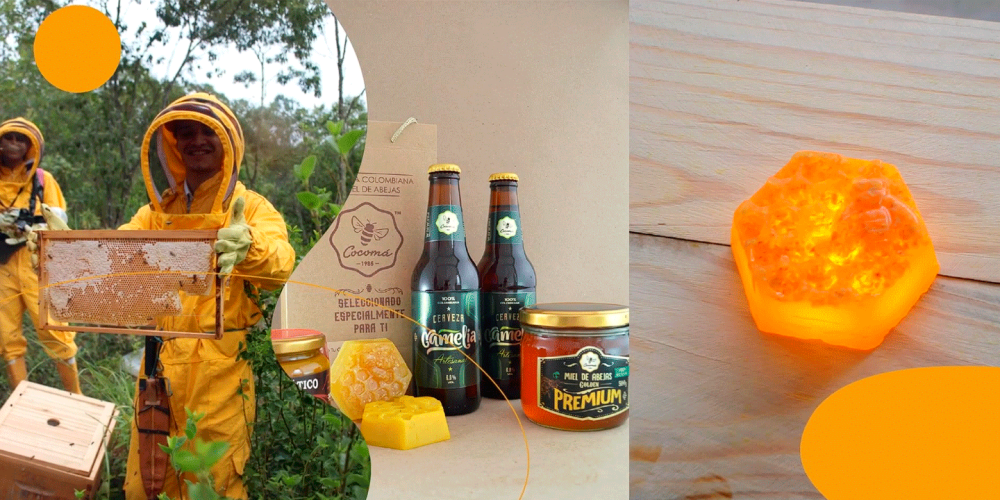 Gestora de Proyectos apoya transformación empresarial